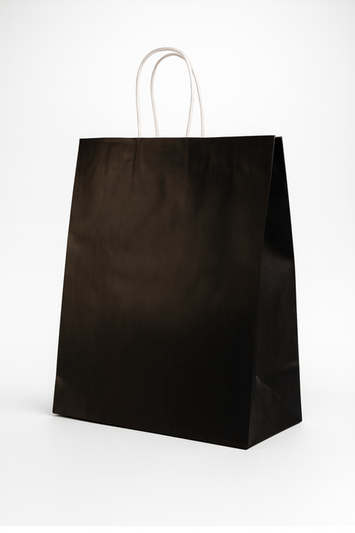 Premium Farbige Papiertüten mit TWISTED Griff (M size)