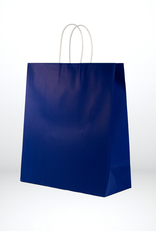 Premium Farbige Papiertüten mit TWISTED Griff (M size)