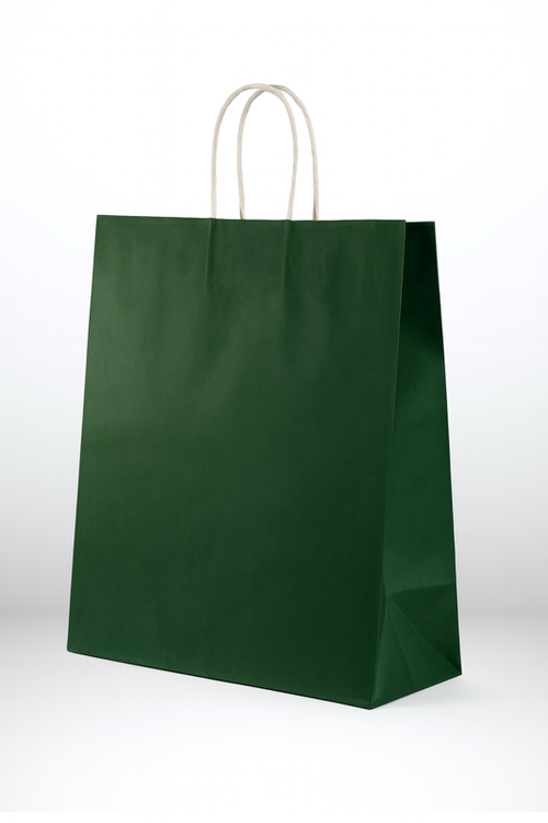 Premium Farbige Papiertüten mit TWISTED Griff (M size)
